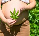 Una donna su 20 fa uso di marijuana durante la gravidanza