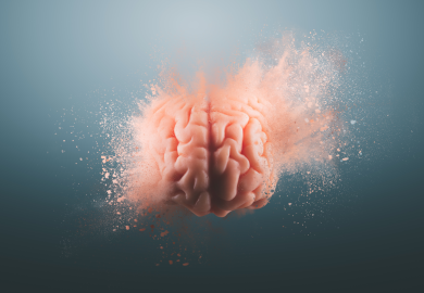 Come evitare che il tuo cervello invecchi prima del tempo, ecco i nemici invisibili a cui fare attenzione