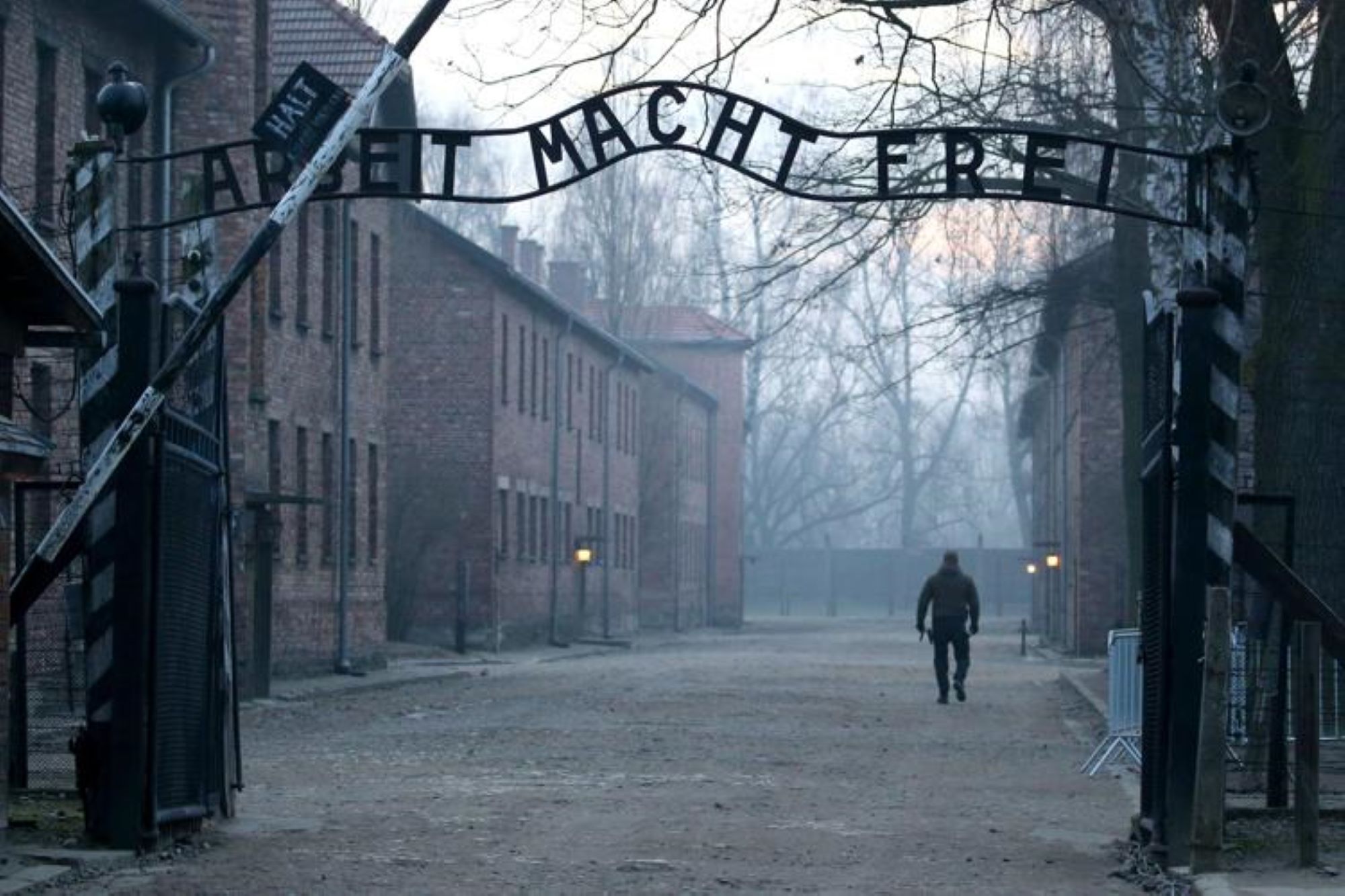 La Shoah è esistita? Per il 14% degli italiani no