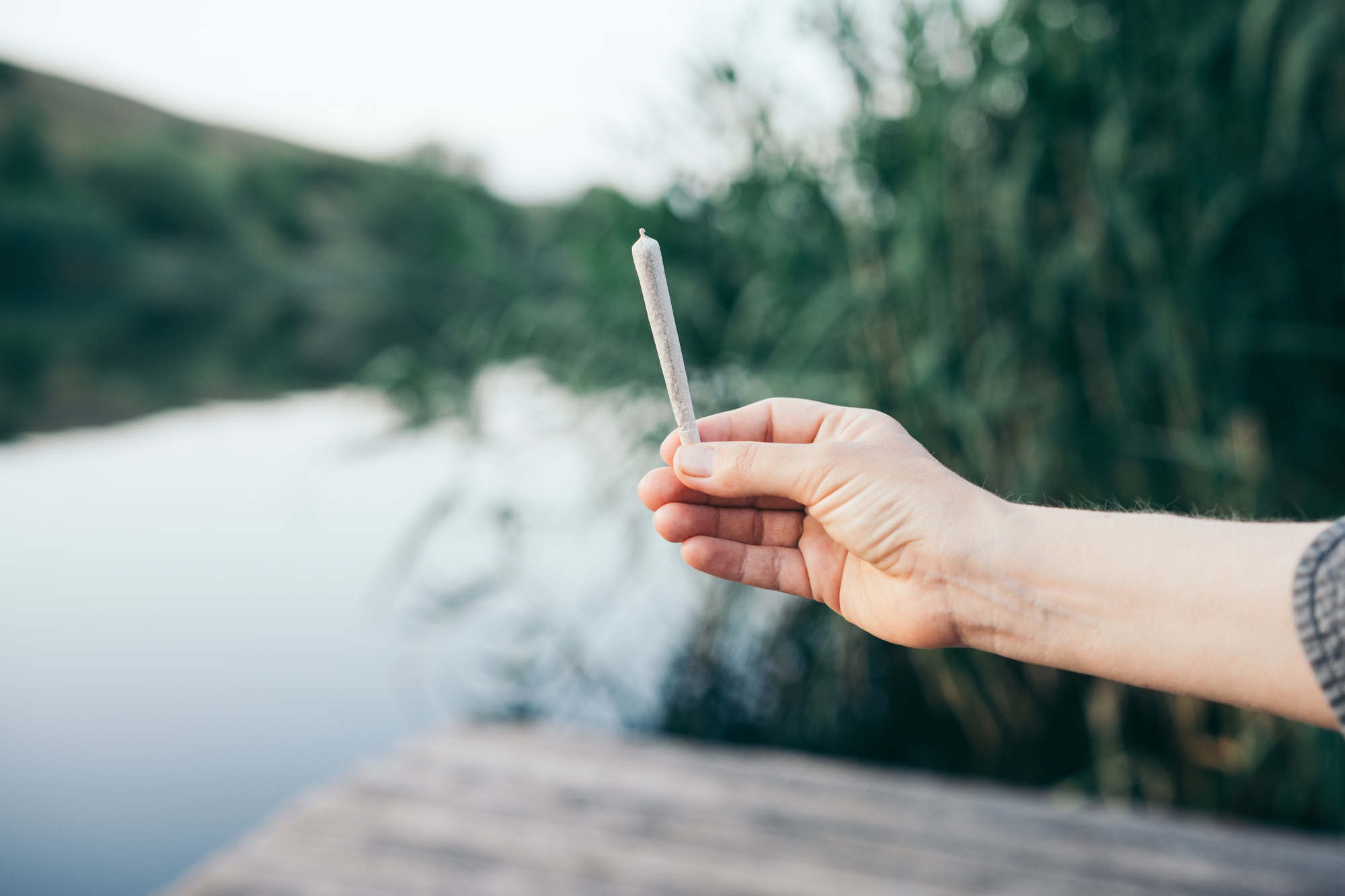 Aumenta il prezzo del tabacco, gli over 50 australiani si rifugiano nella cannabis