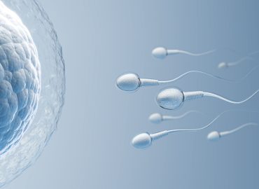 Tre (o più genitori) per un figlio, la gametogenesi in vitro potrebbe sconvolgere il concetto di famiglia