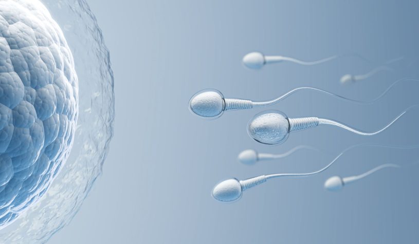 Tre (o più genitori) per un figlio, la gametogenesi in vitro potrebbe sconvolgere il concetto di famiglia