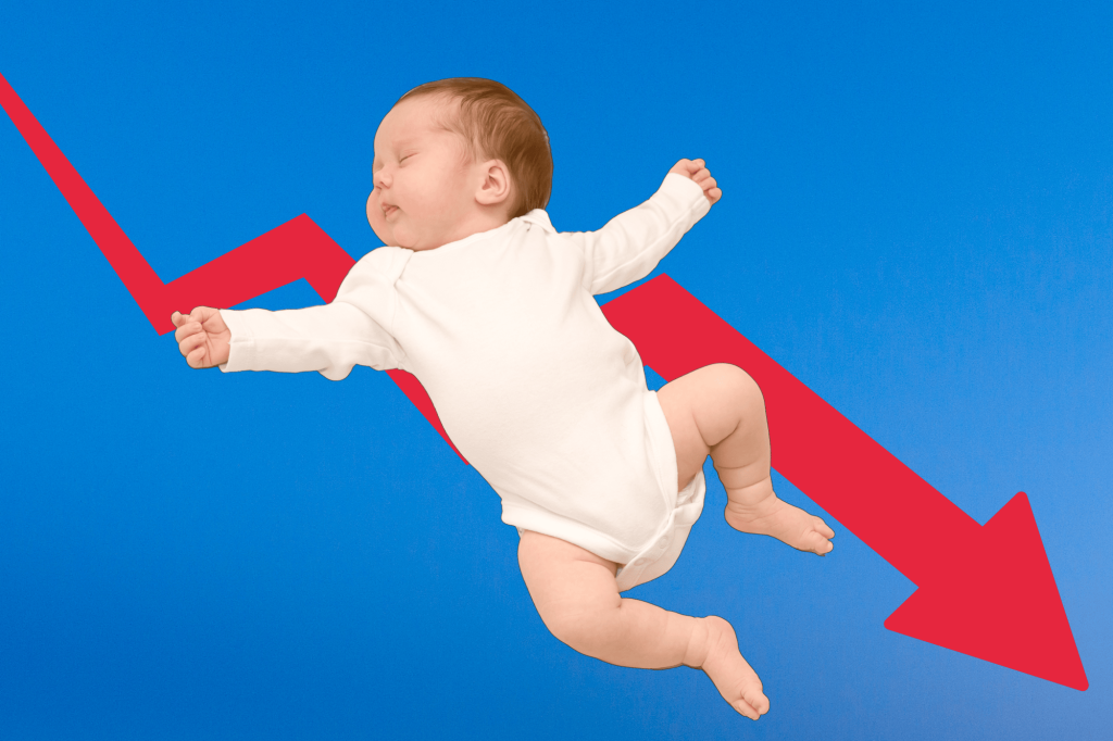 Calo Fertilità Inps