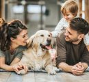 Stiamo davvero preferendo i cani e i gatti ai figli? Spoiler: no