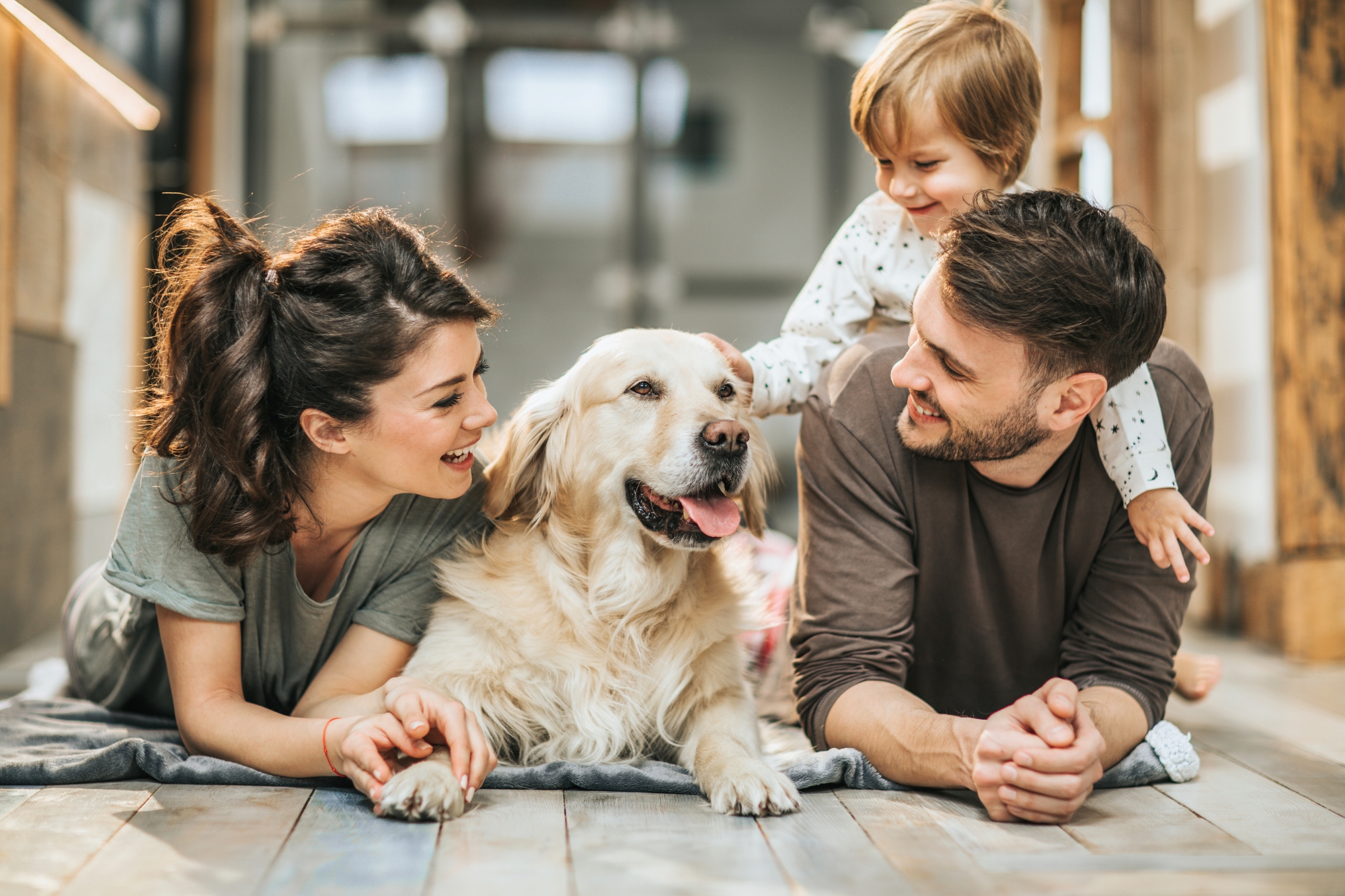 Stiamo davvero preferendo i cani e i gatti ai figli? Spoiler: no