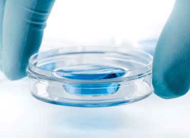 Pellicer (Ivi): “Sostenere le coppie nell’accesso a tecniche Pma più efficaci”