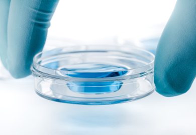 Pellicer (Ivi): “Sostenere le coppie nell’accesso a tecniche Pma più efficaci”