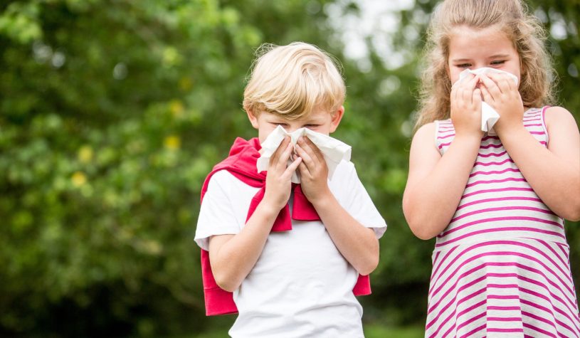 Pollini e punture di insetti: i consigli dei pediatri del Bambino Gesù per le allergie stagionali