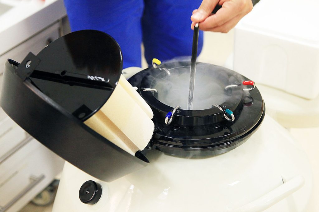 Embrioni Congelati Canva