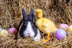 Come e perché si festeggia la Pasqua in (quasi) ogni angolo del mondo