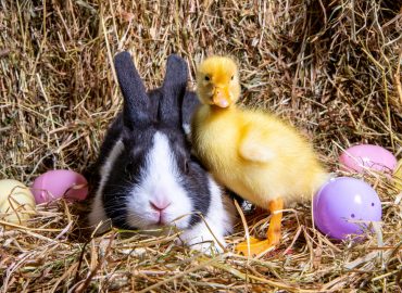 Come e perché si festeggia la Pasqua in (quasi) ogni angolo del mondo