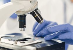 Probiotici e fertilità, uno studio italiano sul ruolo del microbiota intestinale