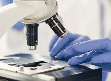 Probiotici e fertilità, uno studio italiano sul ruolo del microbiota intestinale