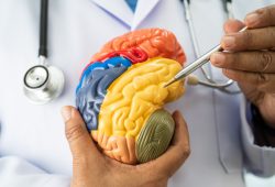 I farmaci anti-Hiv aiutano a combattere l’Alzheimer: lo studio