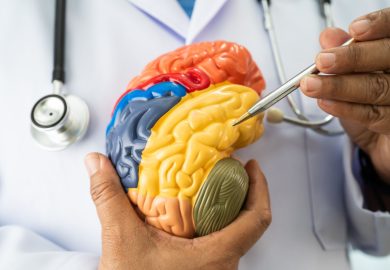 Il custode dei tuoi ricordi più forti? Una cellula nervosa sottovalutata