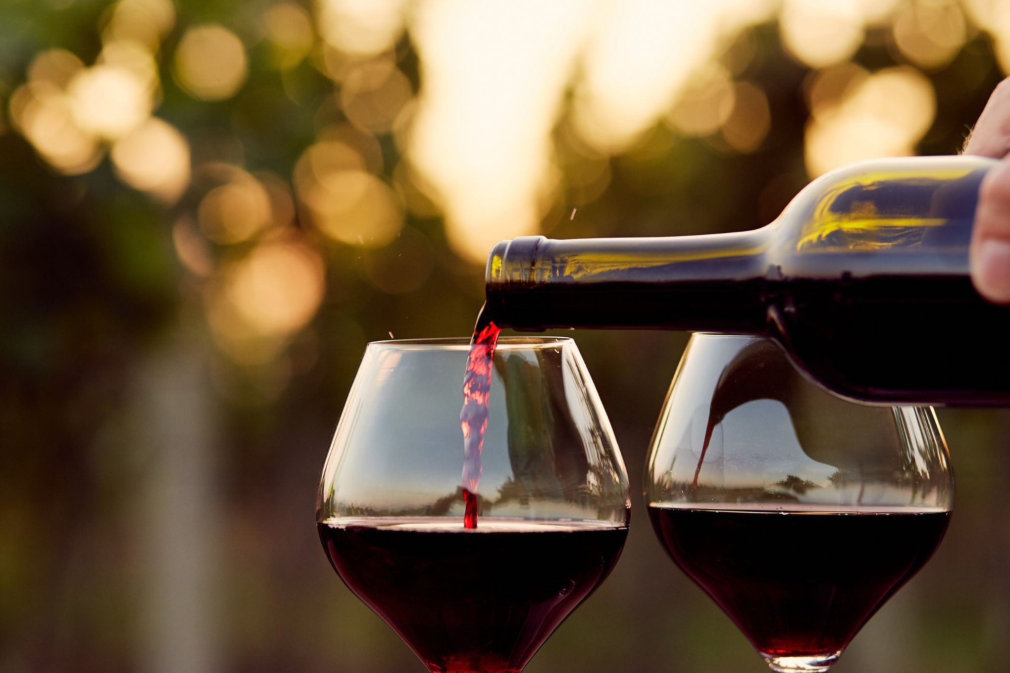 Un bicchiere al giorno? La scienza svela la verità sul consumo di alcol