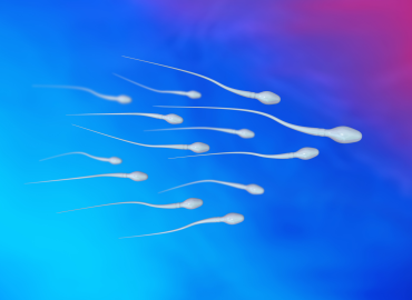 Anche gli uomini hanno un orologio biologico, più rischi dopo i 45 anni