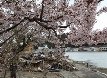 La profezia del manga che sta svuotando il Giappone: turisti in fuga per il 5 luglio 2025