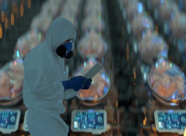 Utero artificiale: fantascienza o realtà? A che punto siamo