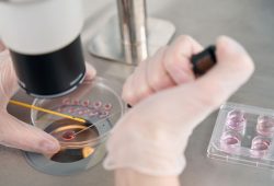 Neonati su misura? La startup nella Silicon Valley promette figli ‘geneticamente fortunati’