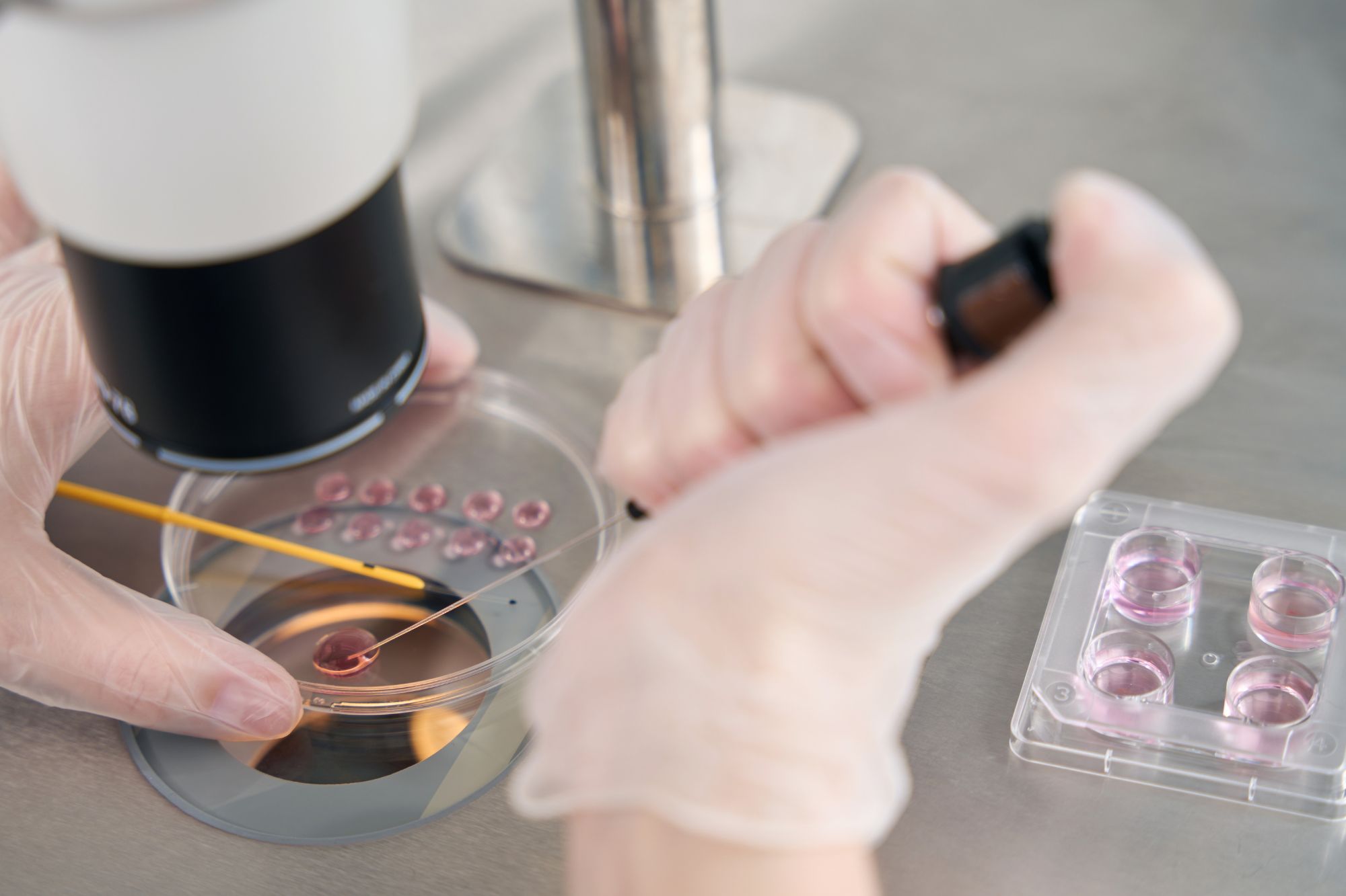Neonati su misura? La startup nella Silicon Valley promette figli ‘geneticamente fortunati’