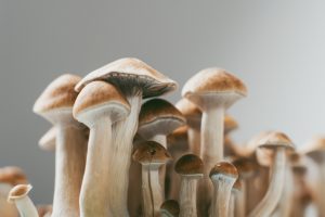 Funghetti Allcuinogeni Depressione Canva