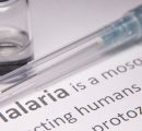 Malaria, approvato un farmaco per i bambini sotto i 5 chilogrammi