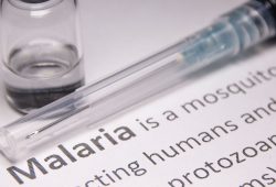 Malaria, approvato un farmaco per i bambini sotto i 5 chilogrammi