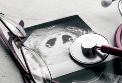 Come l’embrione umano si fa spazio nell’utero: il video in 3D