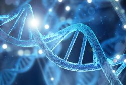 Neanderthal e Sapiens: così la dieta di larve aiuta a capire la convivenza tra le due specie