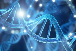 Evoluzione Specie Dna