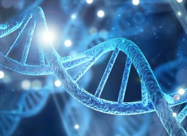 Neanderthal e Sapiens: così la dieta di larve aiuta a capire la convivenza tra le due specie