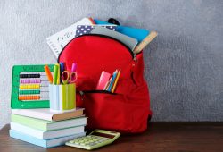 Scuola, dagli zaini hi tech ai diari da 40 euro. Il pedagogista: “Educare alla sobrietà”