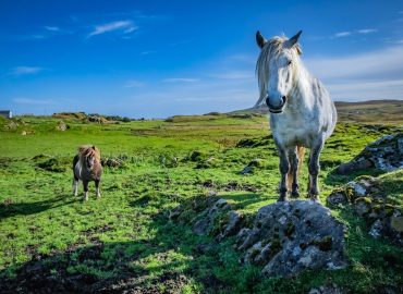 57mila euro per ricominciare: le Shetland sfidano lo spopolamento con incentivi record