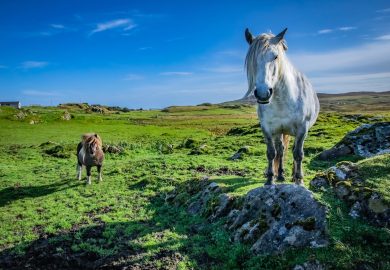 57mila euro per ricominciare: le Shetland sfidano lo spopolamento con incentivi record
