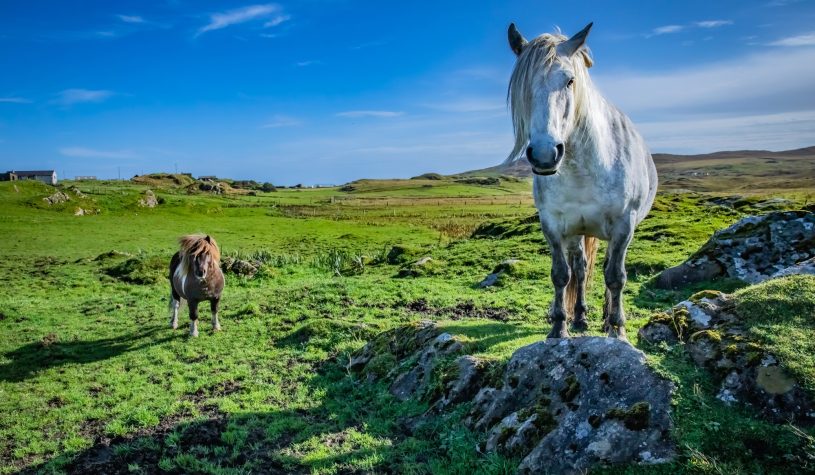 57mila euro per ricominciare: le Shetland sfidano lo spopolamento con incentivi record