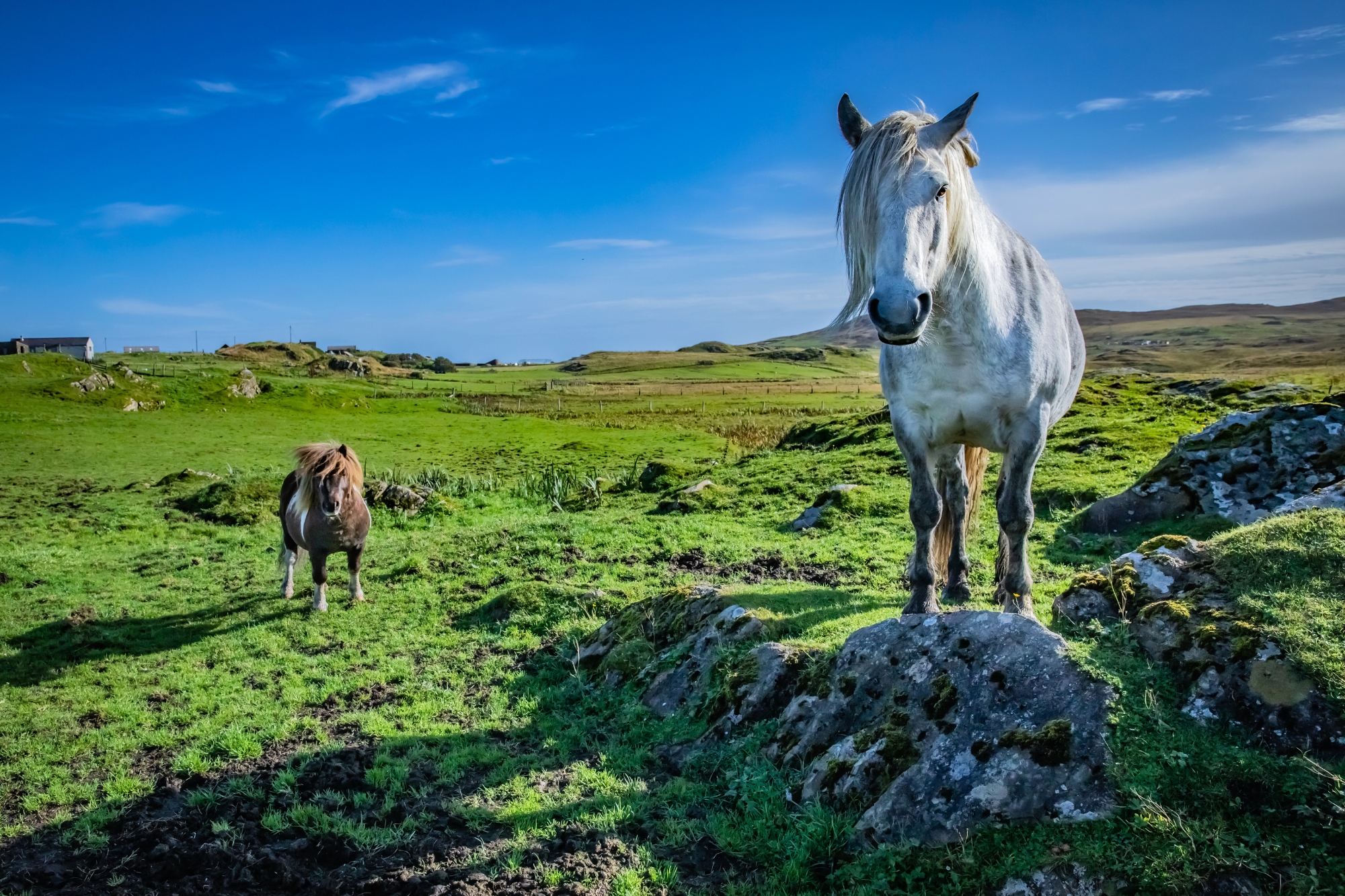 57mila euro per ricominciare: le Shetland sfidano lo spopolamento con incentivi record