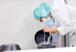 Crioconservazione e diritto alla prevenzione: cosa manca all’Italia? La petizione di Stiamo Fresche riapre il dibattito