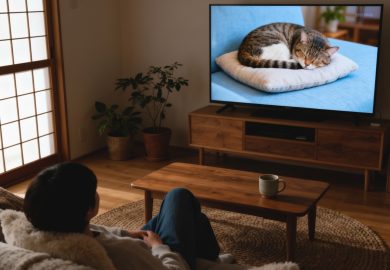 Gatti che dormono in tv contro lo stress: il Giappone risponde così al malessere sociale