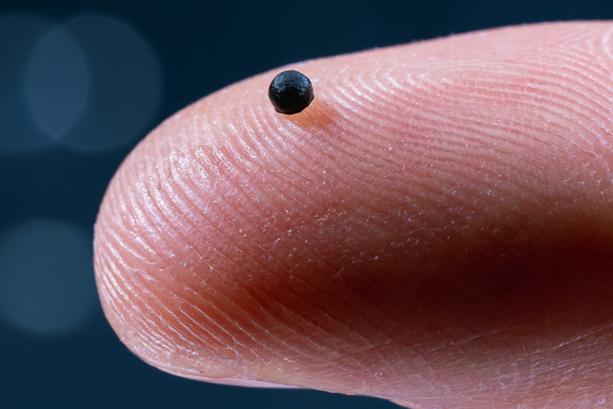 Microrobot nel corpo umano: dalla Svizzera la nuova frontiera contro ictus, tumori e infezioni