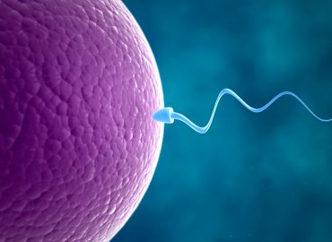 Prima gravidanza grazie all’Ai: ha individuato gli unici due spermatozoi attivi