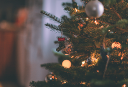 La famiglia italiana oggi: cosa cambia a Natale per le famiglie allargate