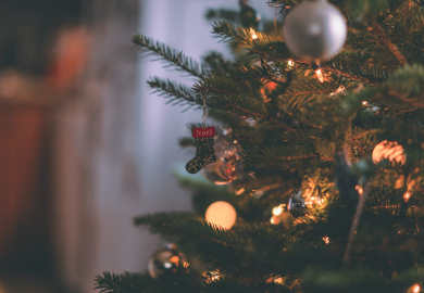 La famiglia italiana oggi: cosa cambia a Natale per le famiglie allargate