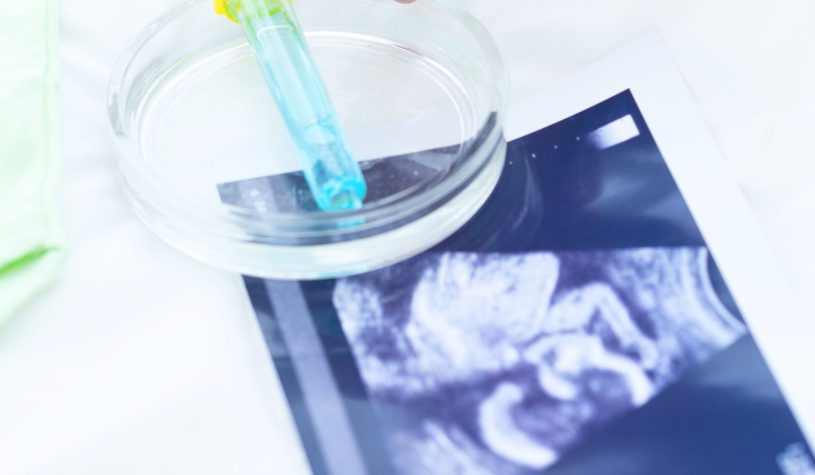 L’infertilità tra i banchi delle università: aumentano i master per la pma