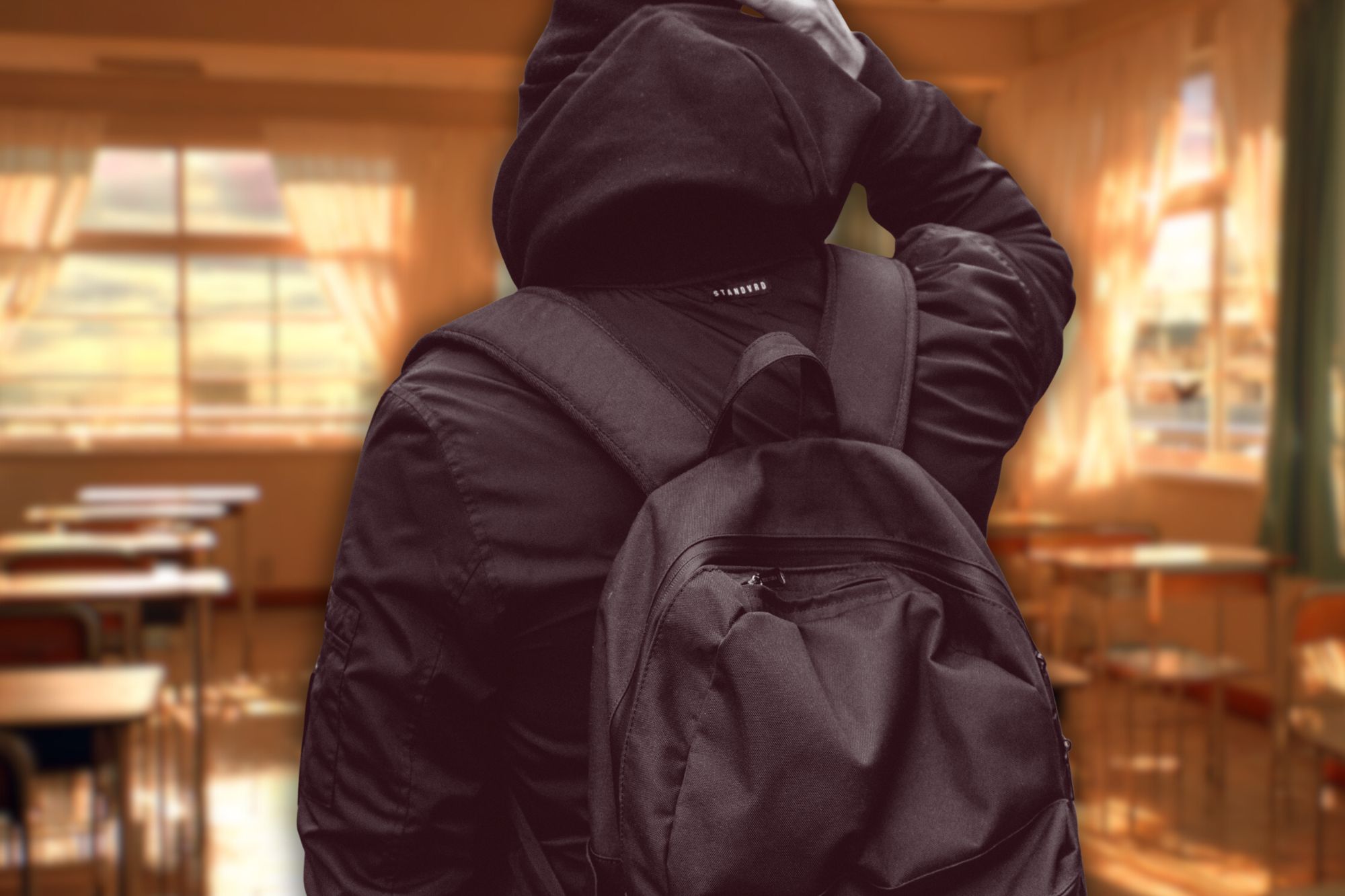 Diciottenne ucciso a scuola, il metal detector di Valditara e il parere del pedagogista