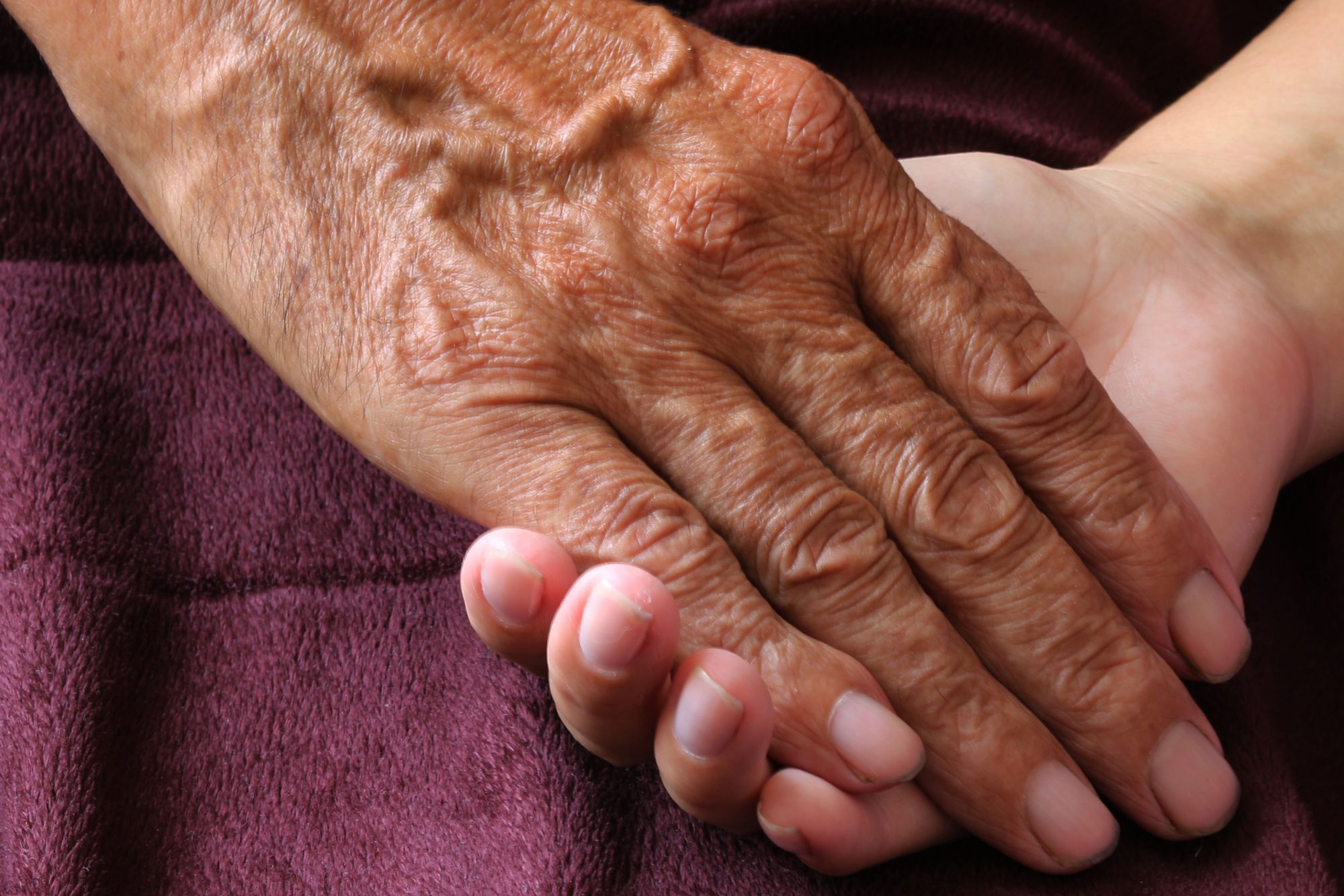 Longevità, questione di genetica o stile di vita? Cosa dice la scienza