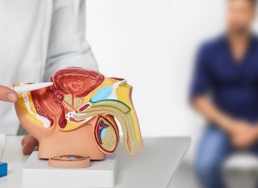 Svolta sulle infezioni alla prostata: scoperto il percorso segreto dei batteri