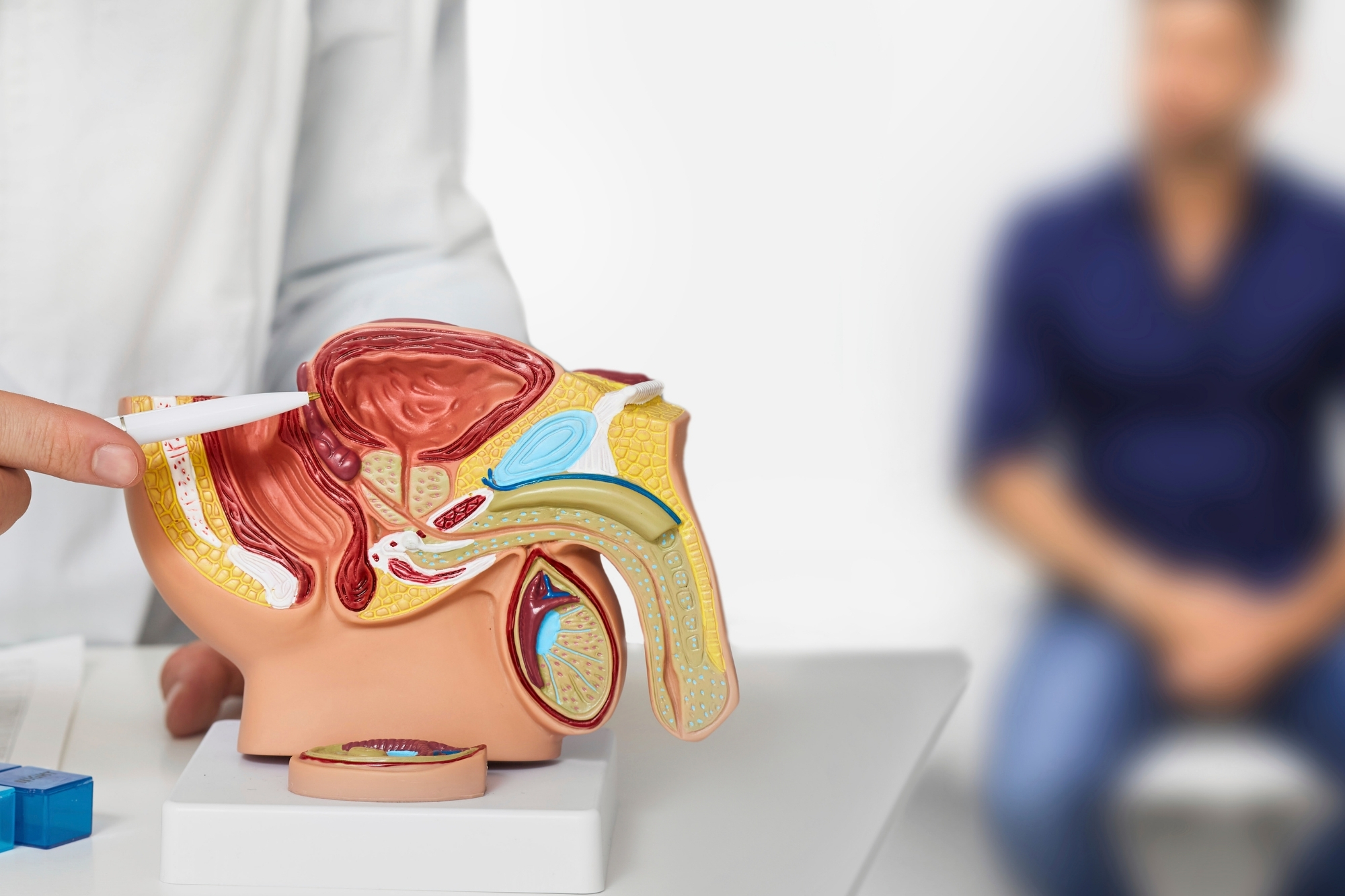 Svolta sulle infezioni alla prostata: scoperto il percorso segreto dei batteri