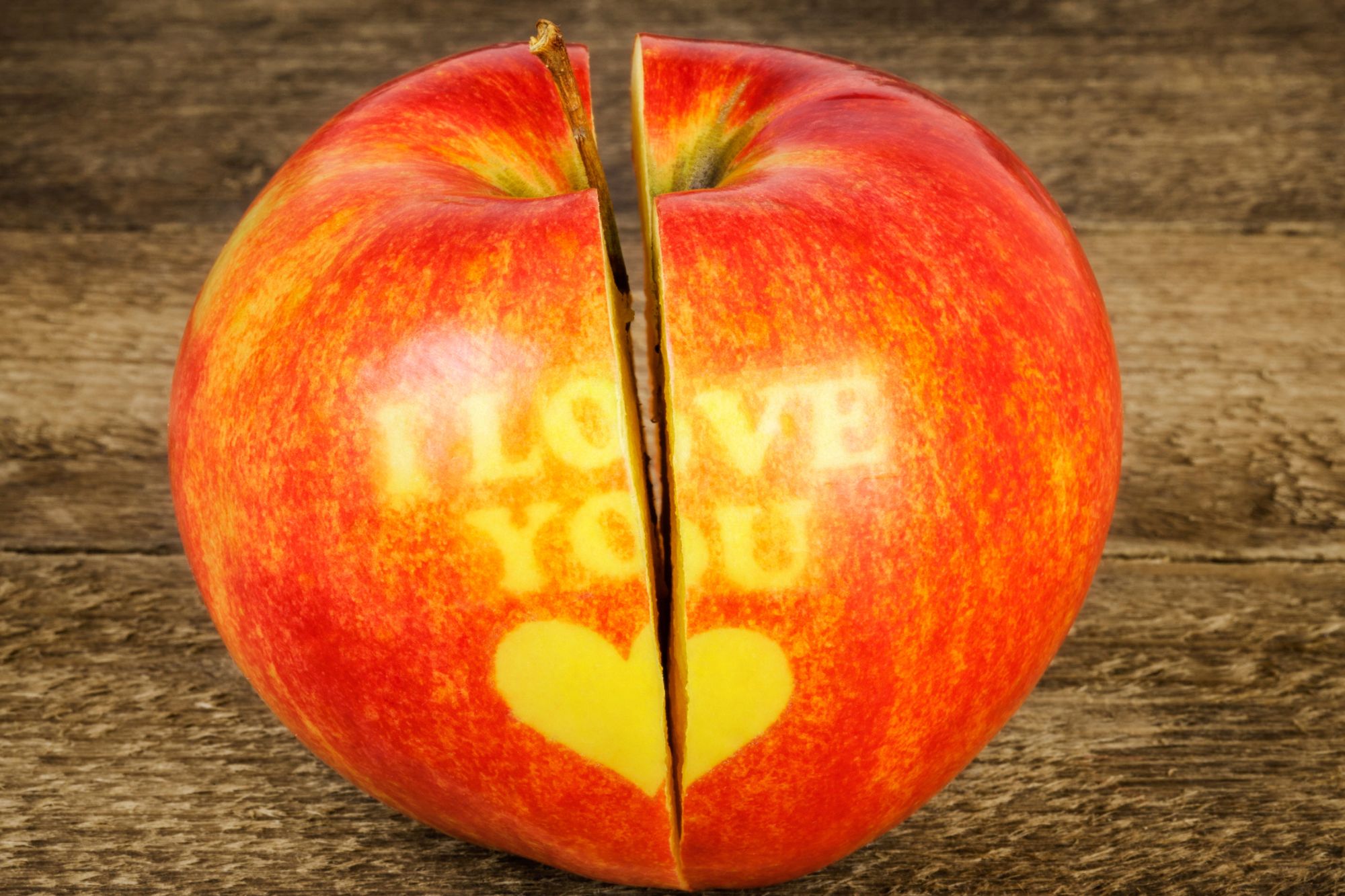 Esiste l’anima gemella? La scienza svela il mistero del “vero amore”