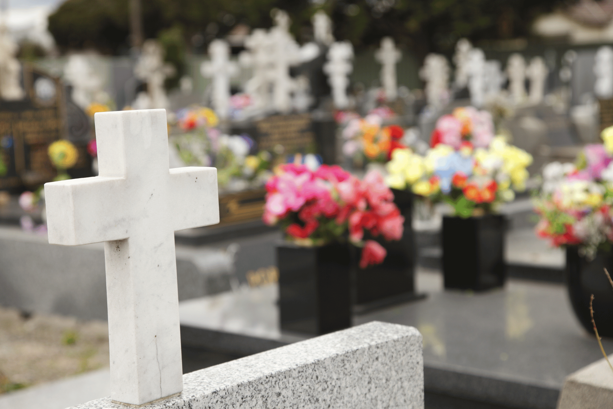 Cimiteri, app e memoria online: cosa succede ai morti nell’era digitale